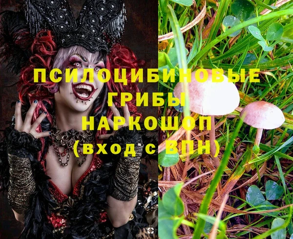 бошки Горно-Алтайск