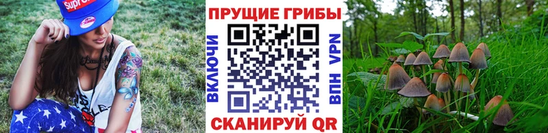 Галлюциногенные грибы Psilocybine cubensis Заринск